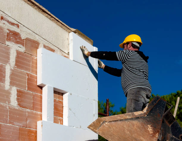 Best Insulation Maintenance and Repair in USA